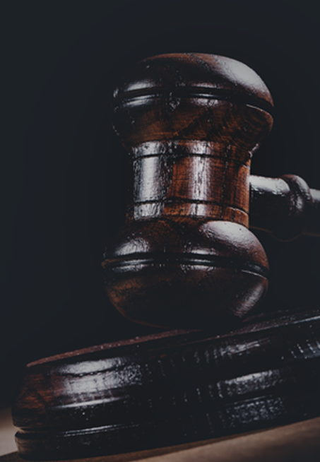 photo-avocate-3